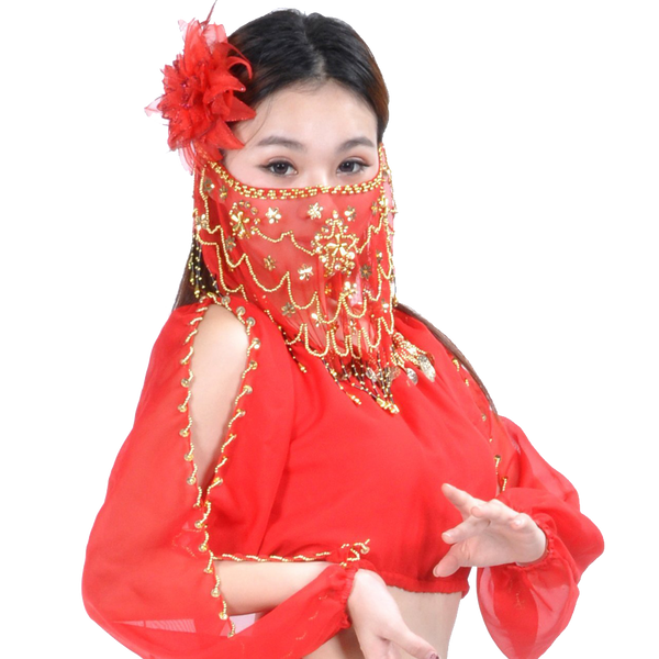 BellyLady Belly Dance Tribal Face Veil With Beads