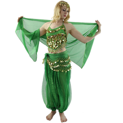 Little Pepper 5-Piece Belly Dance Costume